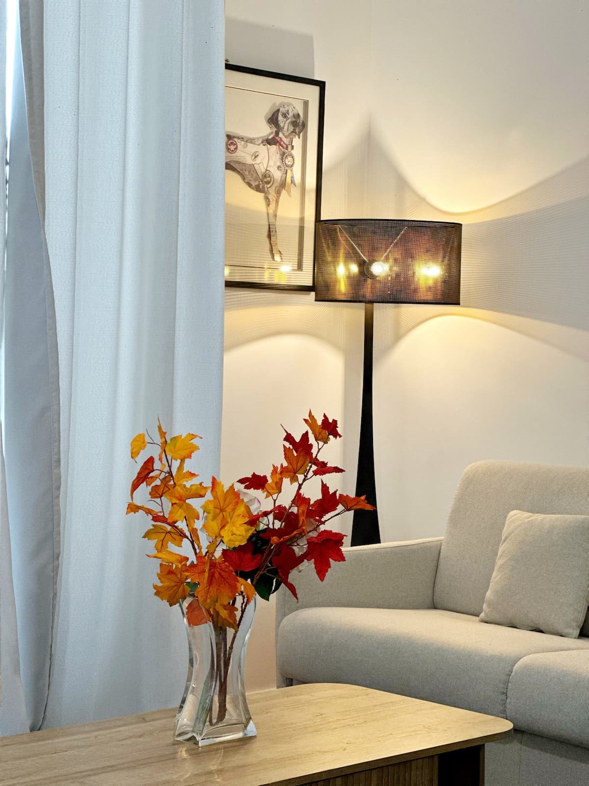 Appartement de charme – Quartier Foch / Paris 16ᵉ - image 3