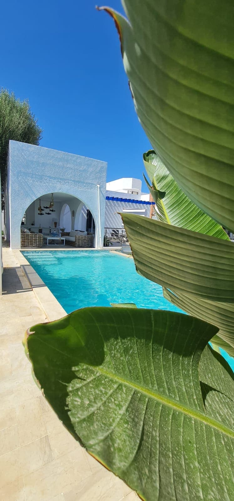 Villa de Rêve – Piscine Privée & Grand Jardin - image 28